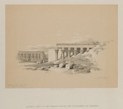 Ägypten und Nubien, Band II: Seitenansicht des Tempels genannt Typhonoeum in Dendera von Louis Haghe