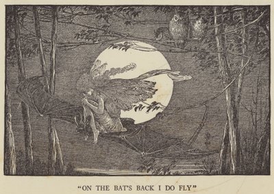 Auf dem Rücken der Fledermaus fliege ich von Louis John Rhead