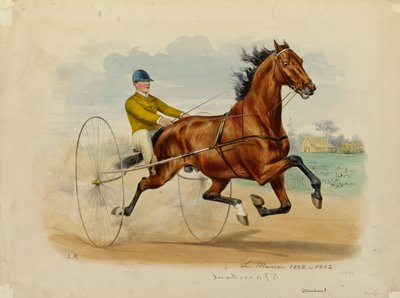 Stambul von Louis Maurer