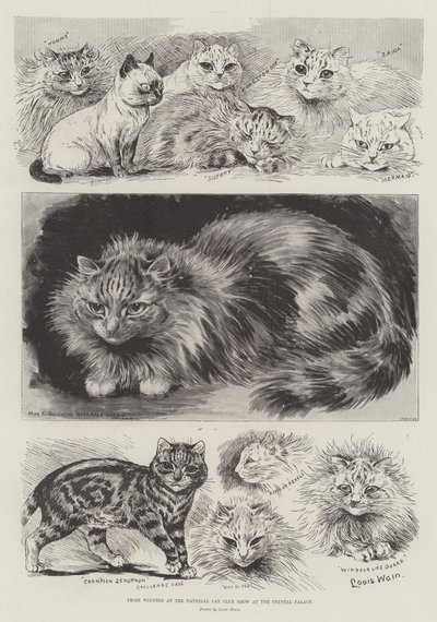 Preisträger auf der National Cat Club Show im Crystal Palace von Louis Wain