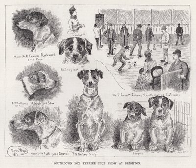 Southdown Fox Terrier Club Show in Brighton von Louis Wain