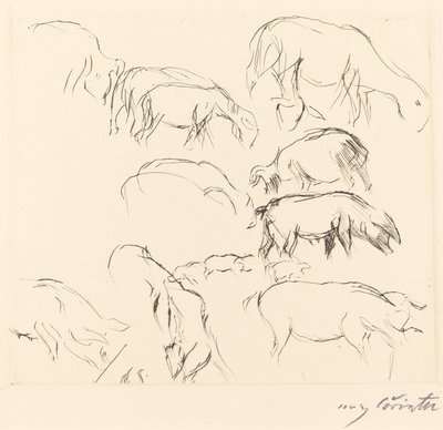 Verschiedene Tierstudien, 1917 von Lovis Corinth