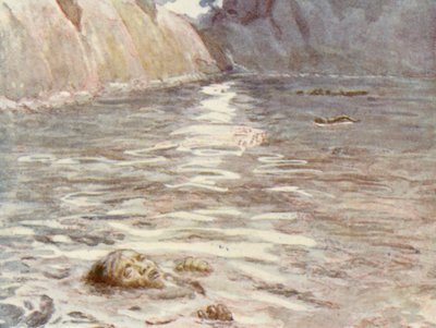 Illustration für das Leben von HM Stanley von Lowes Dalbiac Luard