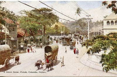 Straßenszene, Pettah, Colombo, Ceylon, ca. 1900-20 (handkolorierte Fotografie) von Ltd. Ceylon Plâté