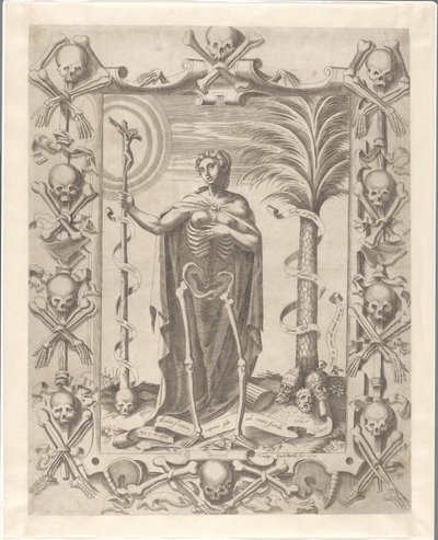 Vanitas von Luca Bertelli
