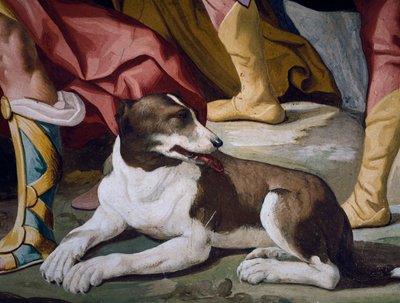 Hund, Detail des Freskos aus dem Zyklus der Geschichten von Antenor von Luca Ferrari