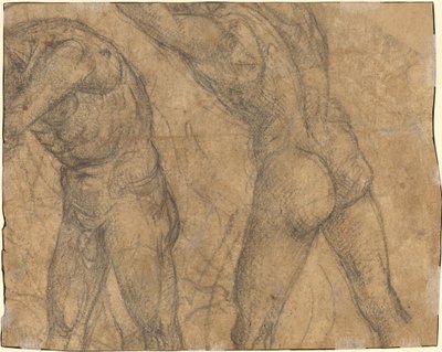 Zwei nackte Figuren (verso) von Luca Signorelli