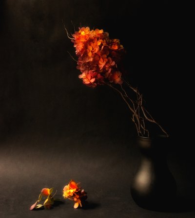  von Ludmila Shumilova