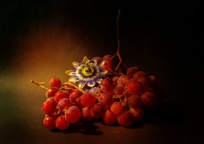  von Ludmila Shumilova