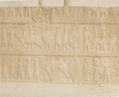 Prozession auf der Fassade der Großen Treppe, 1858 von Luigi Pesce
