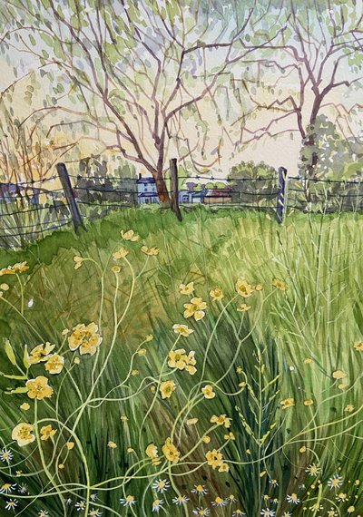Wiesenblumen und Zaun von Luisa Millicent