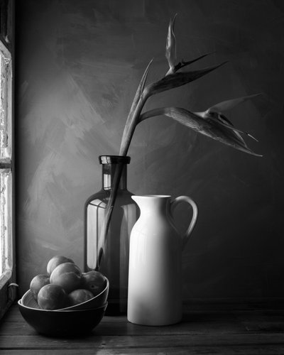 Paradiesvogel Stillleben von Luiz Laercio