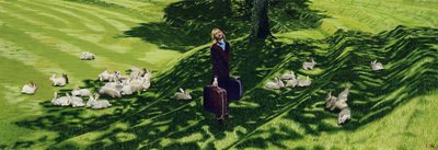 Auf und ab auf Dreamlands Rückgrat mit roten Flamingos und teurem Wein, um 2011 von Luke Waller