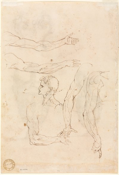 Skizzen von fünf Armen und einem Kopf (verso) von Luzio Romano