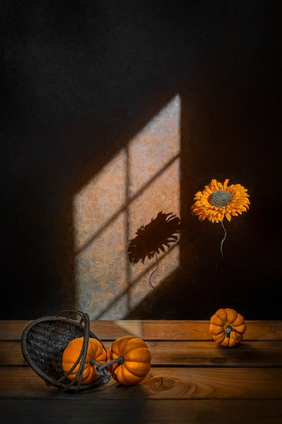 von Lydia Jacobs
