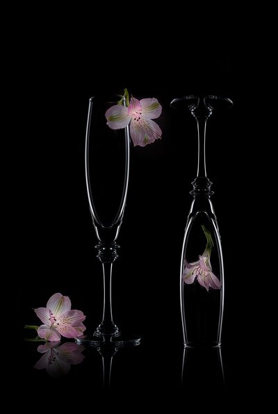 Zarte Blumen-Eleganz von Lydia Jacobs
