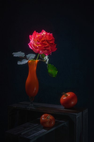  von Lydia Jacobs