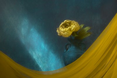  von Lydia Jacobs