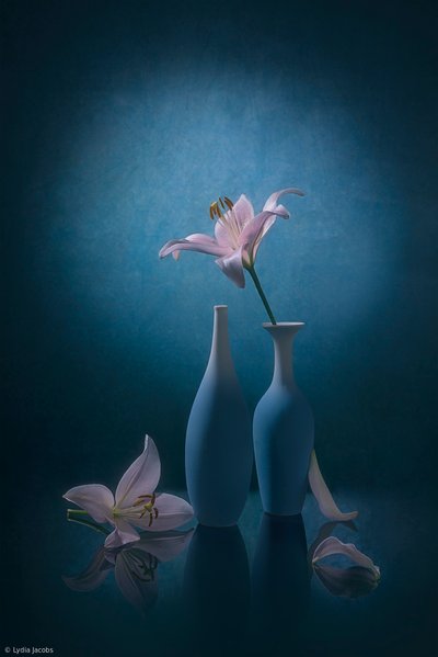 Elegante blaue Lilien von Lydia Jacobs
