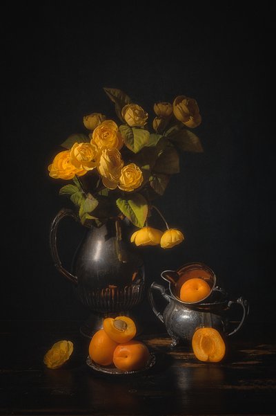  von Lydia Jacobs