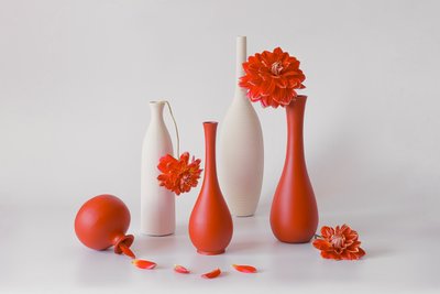  von Lydia Jacobs