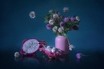 Stimmungsvolle Drachenfruchtblüten von Lydia Jacobs
