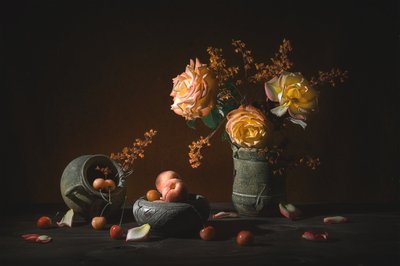  von Lydia Jacobs