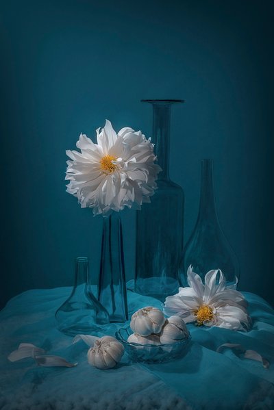  von Lydia Jacobs