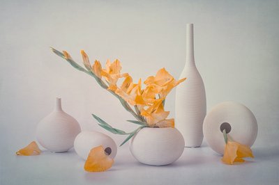 Gelbe Blüten weiße Vasen von Lydia Jacobs