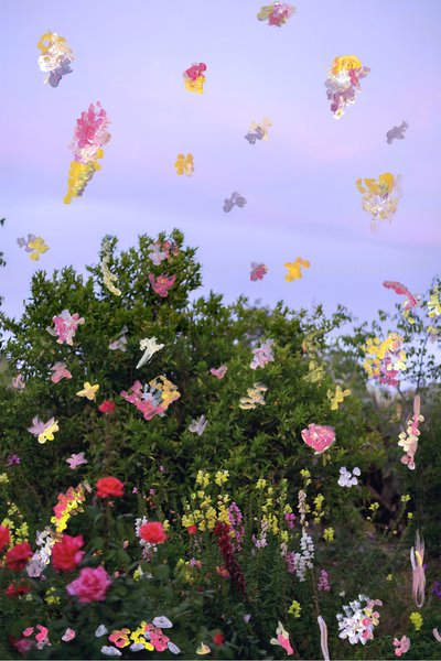 Abstrahierte Blumen von Madeleine Gross
