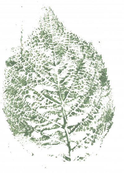 Botanischer Blattdruck von Maira Ribena