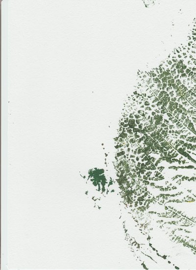 Botanischer Blattdruck von Maira Ribena