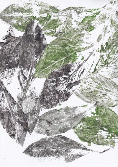 Botanische Blattdrucke von Maira Ribena