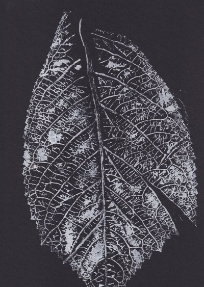 Monochromes Blattmuster von Maira Ribena