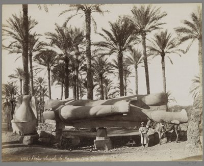 Liegende Statue von Ramses II in Memphis, im Vordergrund ein Junge mit einem Esel von Maison Bonfils