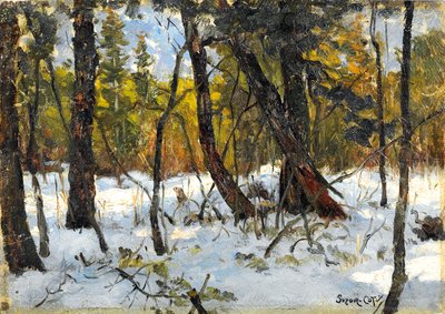 Wald im Winter von Marc Aurele de Roy Suzor Cote