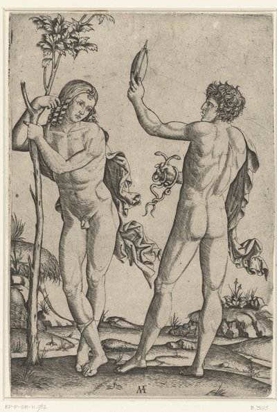 Nackter Mann, der sich gegen einen Baum lehnt, und nackter Mann mit Spiegel und zwei Schlangen von Marcantonio Raimondi