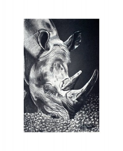 Kraftvolles Nashorn beim Grasen von Marchelle de Kock