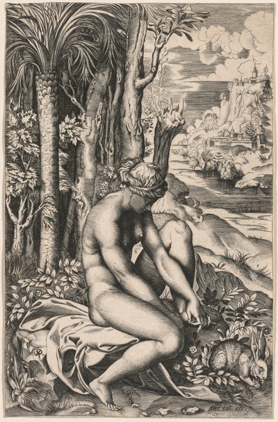 Venus, von einem Rosendorn verwundet, um 1516 von Marco Dente