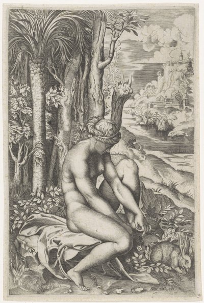 Venus, verletzt durch den Dorn einer Rose von Marco Dente