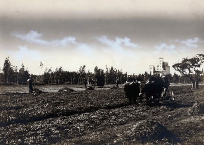 Pflügen in Mussolinia, in der Provinz Cagliari von Marco Leporati