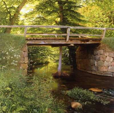 Ein Waldstrom mit einer Holzbrücke von Marcus Bech Fritz
