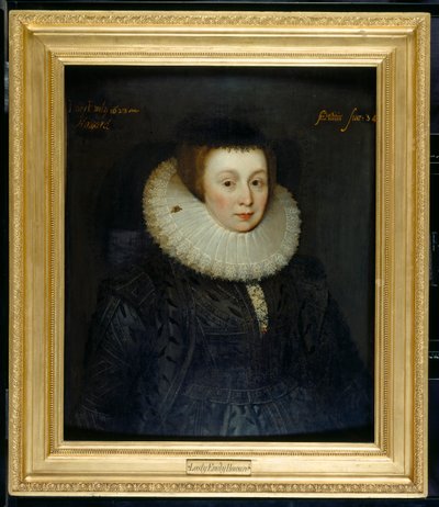 Lady Emily Howard von Marcus Gheeraerts
