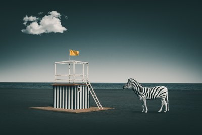 Surrealer Strandzebra von Marcus Hennen