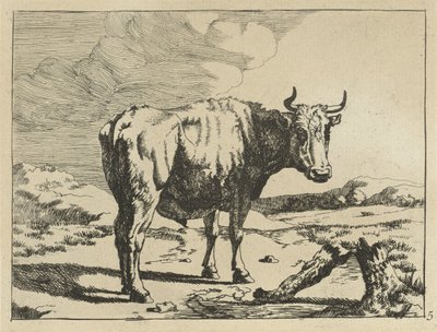 Stier stehend bei einem Baumstumpf von Marcus de Bye