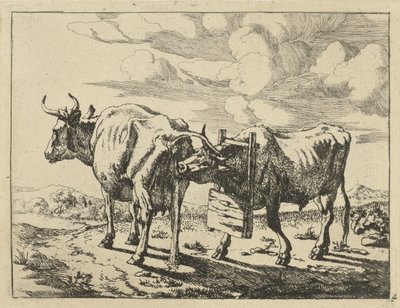 Zwei stehende Kühe von Marcus de Bye