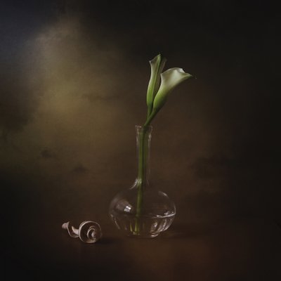 Elegante Calla-Lilien von Margaret Halaby