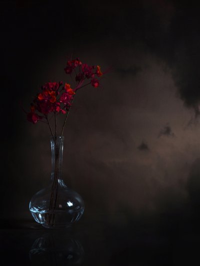 Stimmungsvolle rote Blumen von Margaret Halaby
