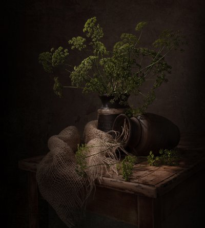 Dunkles Botanisches Stillleben von Margareth Perfoncio