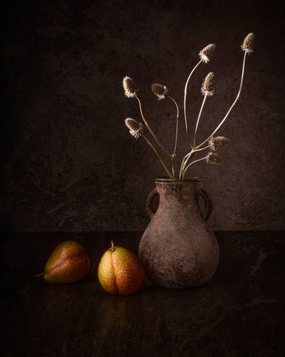 Dunkle Birnen und Blumen von Margareth Perfoncio